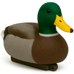 Ловушки и приманки