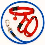 Амуниция для кошек