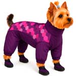 Одежда для животных