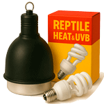 Обогрев и освещение для рептилий