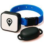 GPS-трекеры для животных